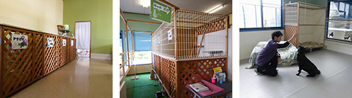 �쉀�E������n