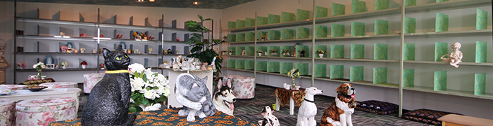 �y�b�g�[����